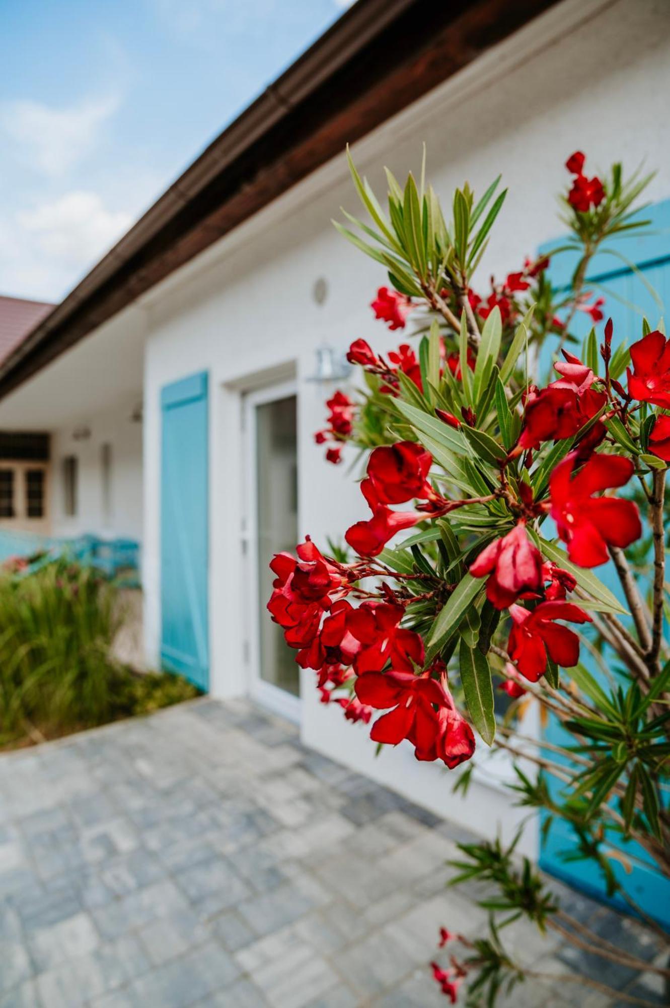 Ako Doma Hotel Poltar Exterior foto